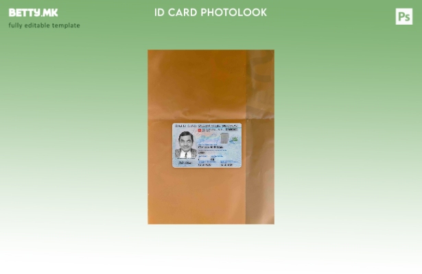 модерен стил Швајцарија лична карта photolook ПРЕДЕН шаблон